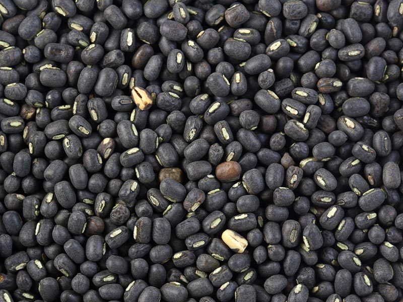 urad dal